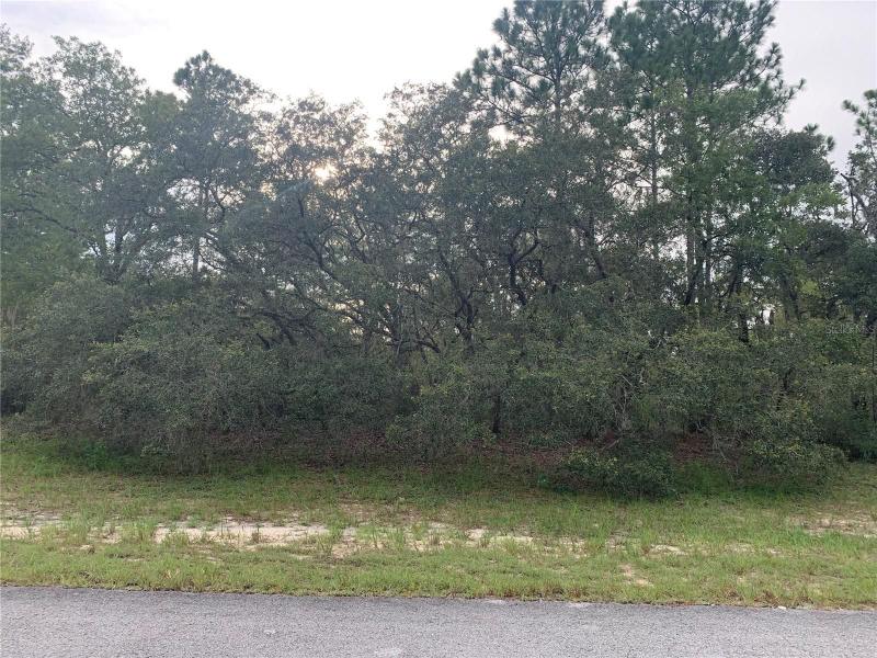 Ocala, Marion County, FL Undeveloped Land, Homesites for sale Property ID: 417206087