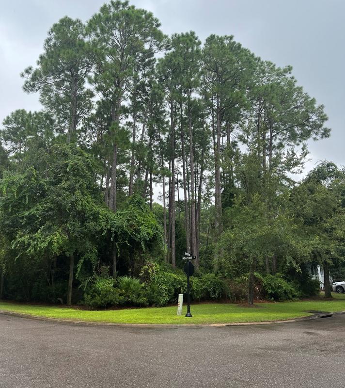 101 Spartina Ct, Saint Marys, GA 31558 - MLS 10203646 for Sale