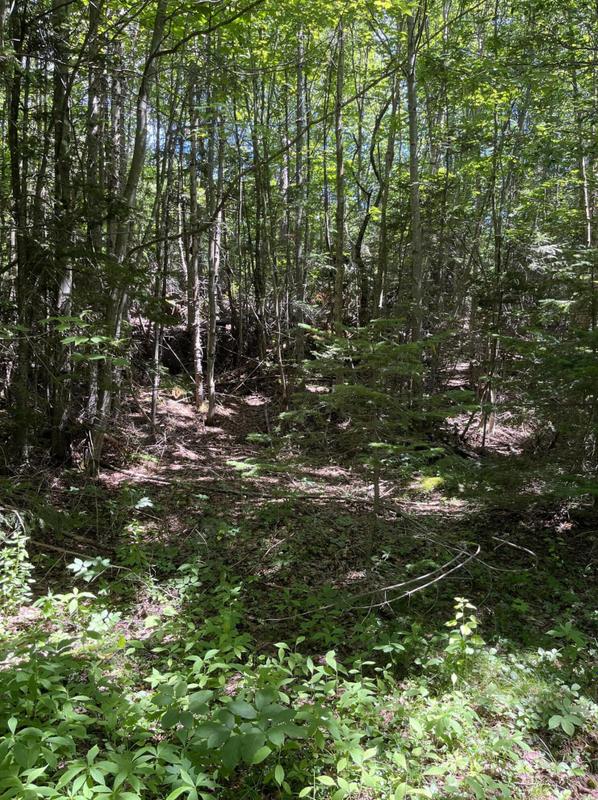 48 Ermine Rd, Sandy River Plt, ME 04970 - MLS 1564717 for Sale