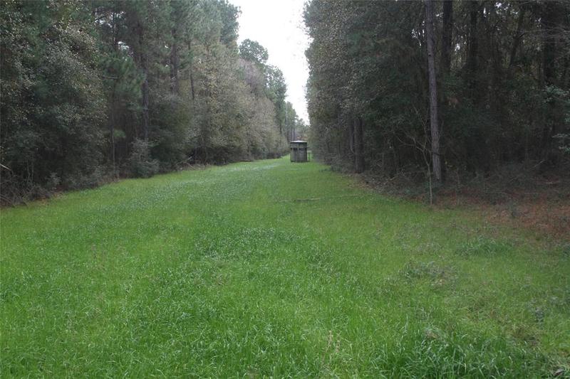 TBD CR 355, Todd Mission, TX 77363 for Sale
