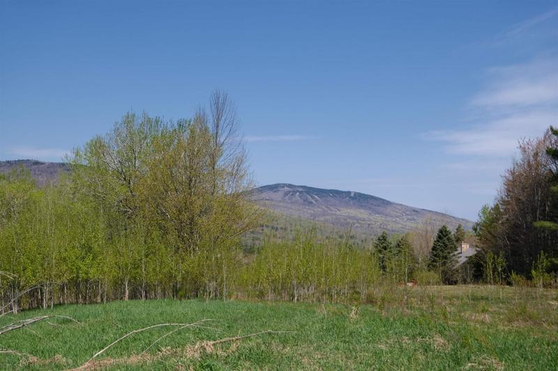 Ludlow, Windsor County, VT Undeveloped Land for sale Property ID: 418734685
