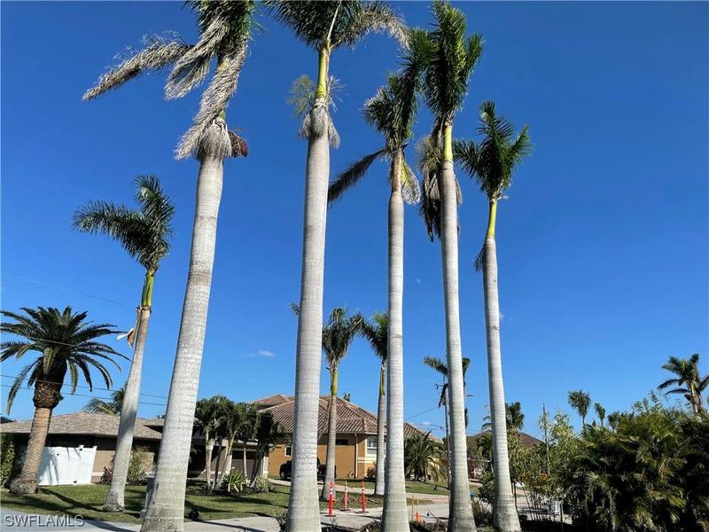 710 CORAL DR, CAPE CORAL, FL 33904 Single Family Residence For Sale  MLS# 223048875