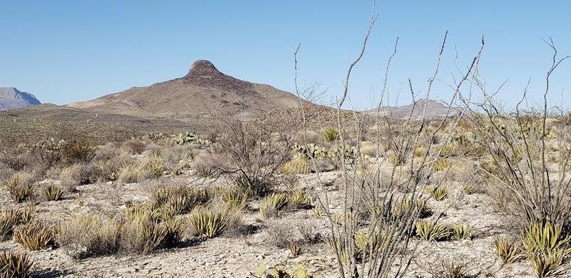 6712 Diamond Dr, Terlingua, TX 79852 for Sale