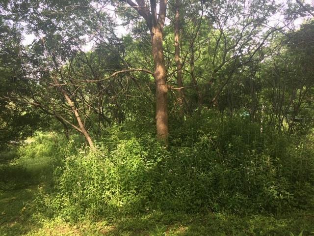 LOT 2 HWY D, Colfax, WI 54730 Single Family Residence For Sale  MLS# 1573040