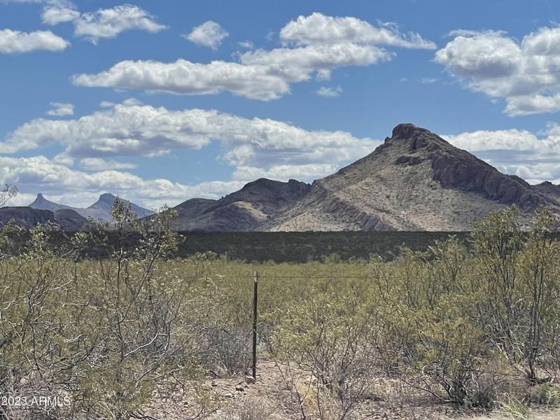 Douglas, Cochise County, AZ Farms and Ranches for sale Property ID: 416111962