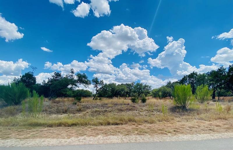 176 Brown Saddle Cv, Driftwood, TX 78619 for Sale