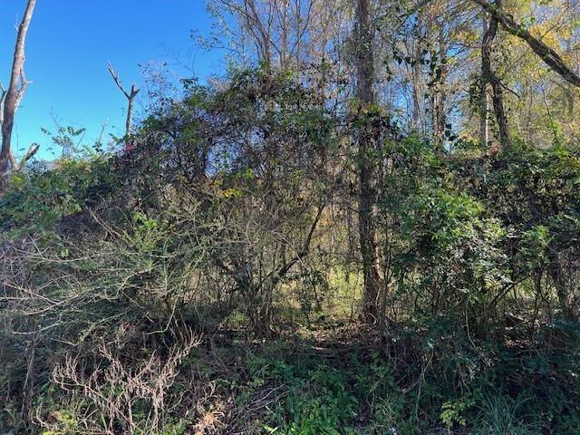 000 Lazy Creek Dr, New Caney, TX 77357 for Sale