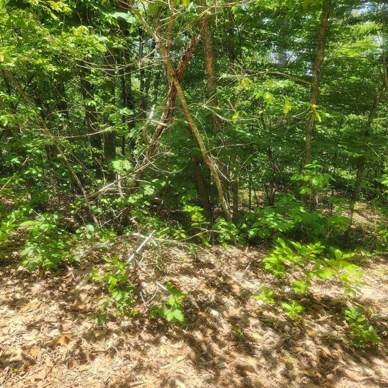 Cherokee Village, Sharp County, AR Undeveloped Land, Homesites for sale Property ID: 416915920