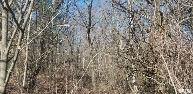 Mackinaw, Tazewell County, IL Undeveloped Land, Homesites for sale Property ID: 418224685