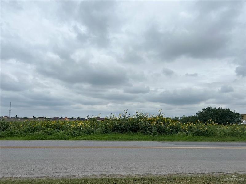 Tbd Anaya Road, Pharr, TX 78577 for Sale