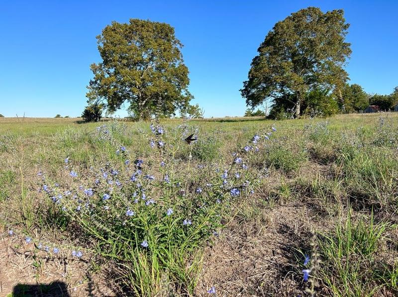 7216 Quail Run Rd Rd, Burton, TX 77835 - MLS 6632024 for Sale