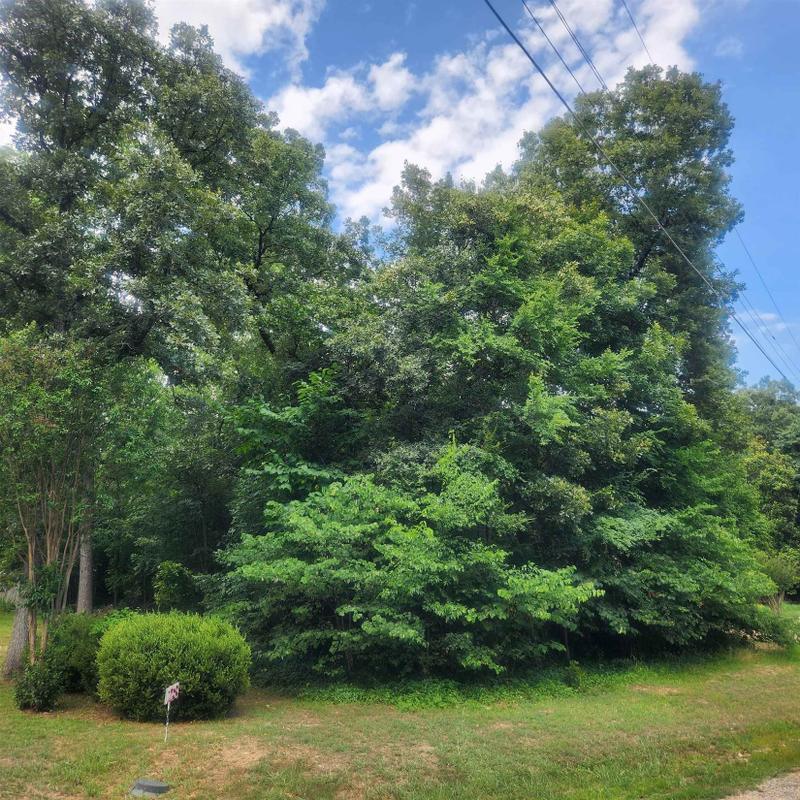 Cherokee Village, Sharp County, AR Undeveloped Land, Homesites for sale Property ID: 416915923
