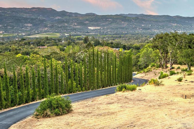 0 HIGH GROVE LANE, Sonoma, CA 95476 Land For Sale  MLS# 323048633 for Rent