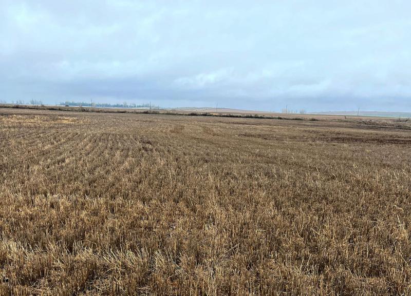 Martin, Sheridan County, ND Farms and Ranches, Hunting Property for auction Property ID: 418181222 for Sale