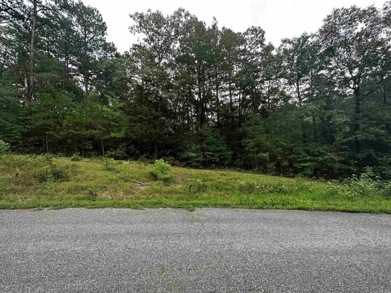 Shirley, Van Buren County, AR Undeveloped Land, Lakefront Property, Waterfront Property, Homesites for sale Property ID: