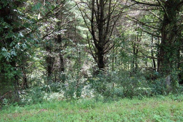 Mountain City, Johnson County, TN Undeveloped Land, Homesites for sale Property ID: 412368343