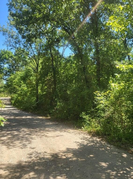 Tbd Lot 68 Elm, Eustace, TX 75124 - MLS 20381448 for Sale