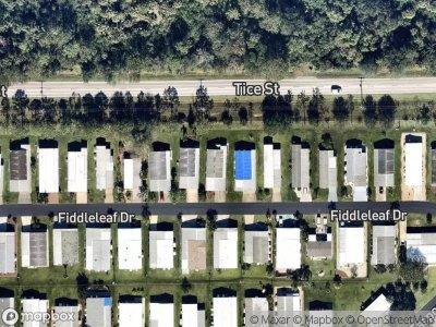 Fiddleleaf Dr for Sale