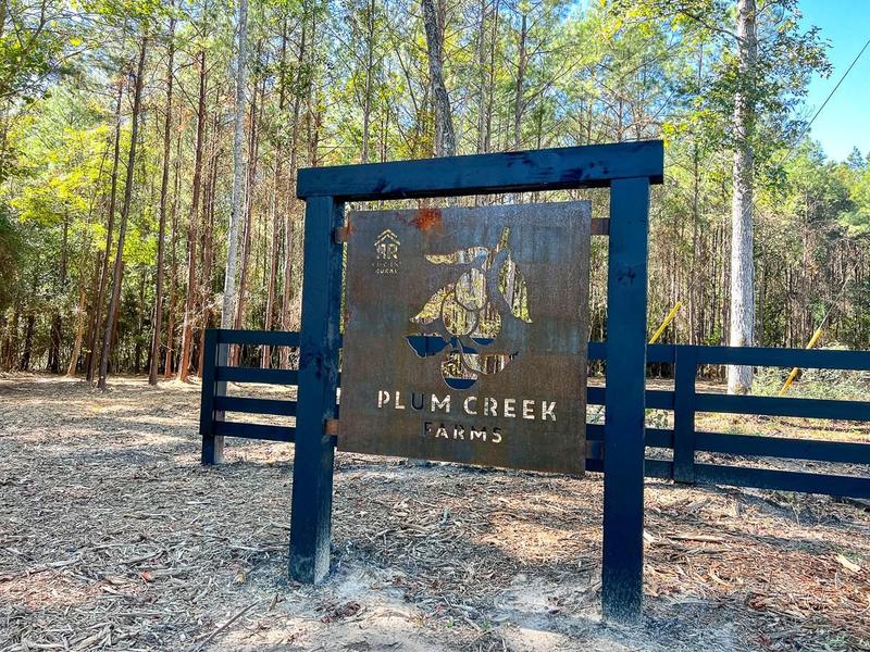 Livingston, Polk County, TX Recreational Property, Timberland Property, Hunting Property for sale Property ID: 418420610
