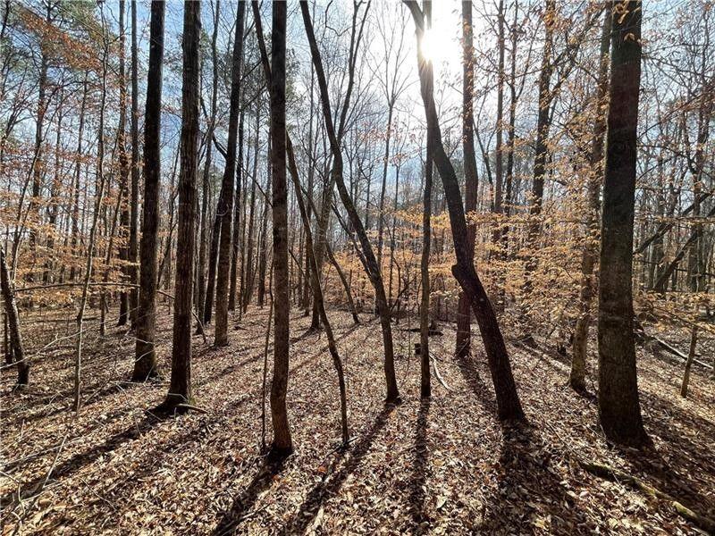 Valley, Lee County, AL Undeveloped Land, Homesites for sale Property ID: 418101900
