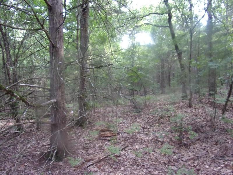 Murchison, Van Zandt County, TX Undeveloped Land, Homesites for sale Property ID: 416994916