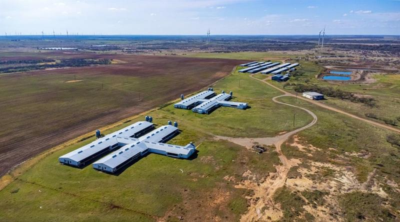 7100 Highway 25, Windthorst, TX 76389 for Sale