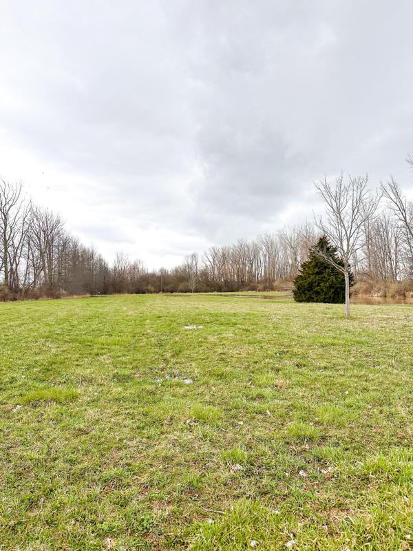 Stevensville, Berrien County, MI Undeveloped Land for sale Property ID: 417350542