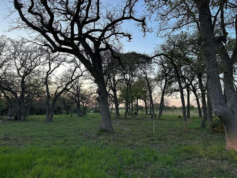 TBD LOT 1 NINK RD, Smithville, TX 78957 Land For Sale  MLS# 5084662