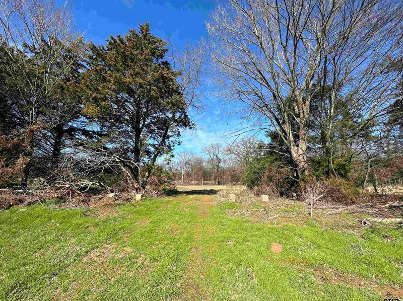 4 7Ac County Road 2402, Winnsboro, TX 75494 - MLS 23001749 for Sale