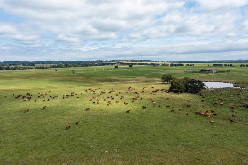 Elkhart, Anderson County, TX Farms and Ranches, Recreational Property, Hunting Property, House for sale Property ID: 412499282