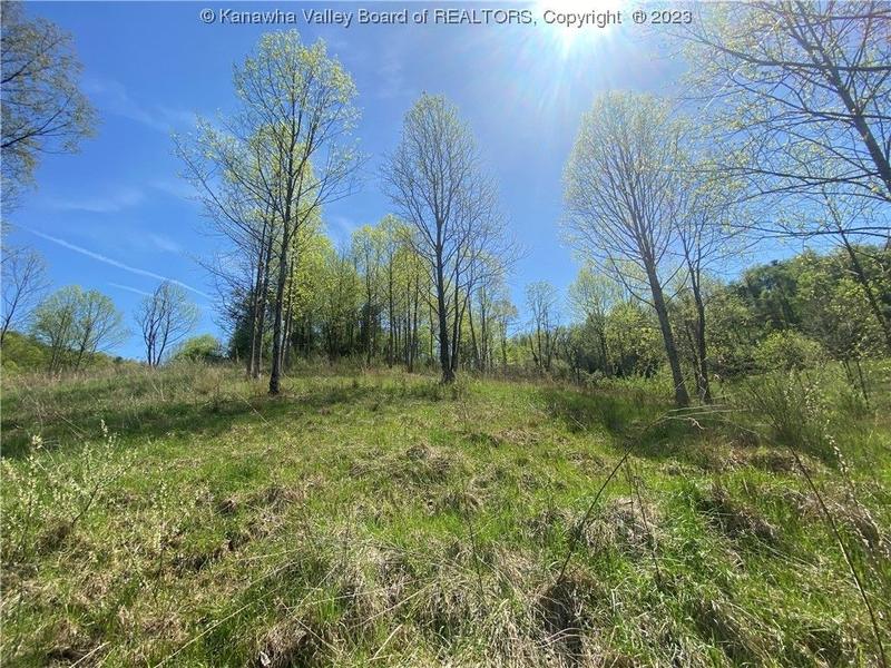 Poca, Putnam County, WV Undeveloped Land, Lakefront Property, Waterfront Property for sale Property ID: 418113580