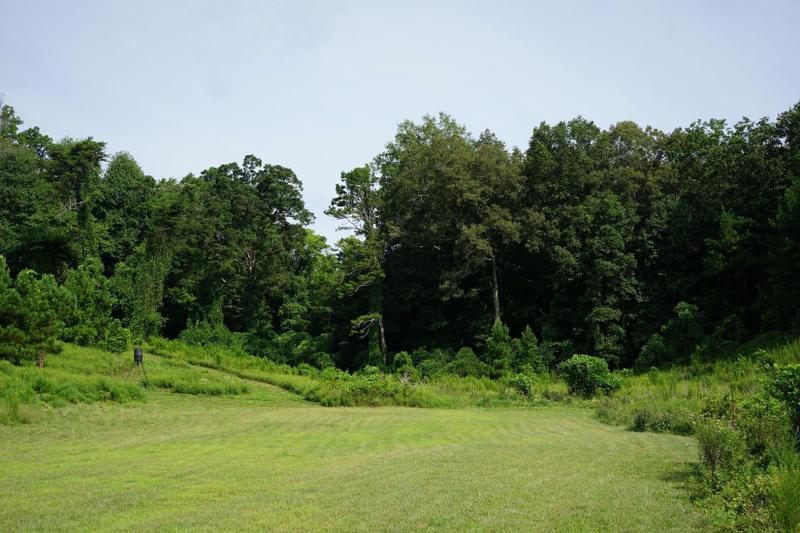Evensville, Rhea County, TN Recreational Property, Hunting Property for sale Property ID: 415894068