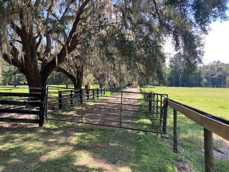 Redpart, Marion County, FL Undeveloped Land for sale Property ID: 418699110