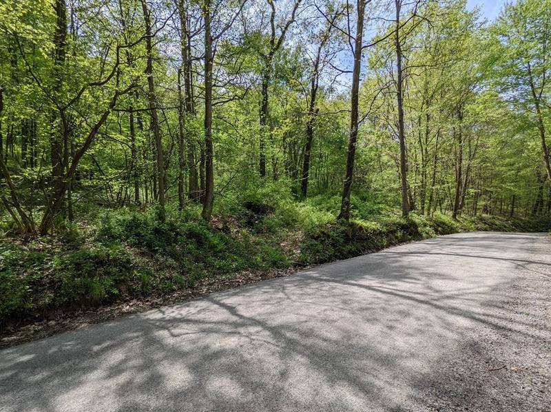 0 American School Rd, Franklin Township, PA 16037 - MLS 1605692 for Sale