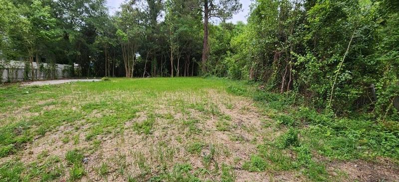 981 Perdue St, Macon, GA 31206 - MLS 7222144 for Sale
