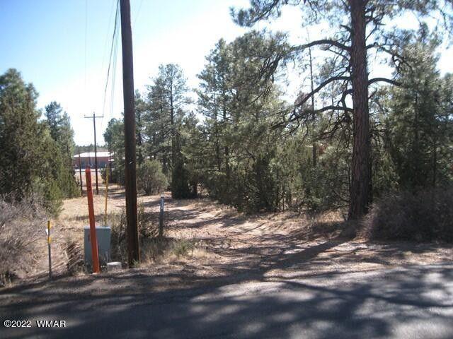 Overgaard, Navajo County, AZ Commercial Property, Homesites for sale Property ID: 413536864
