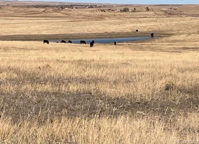 Tbd E Hwy 24, Calhan, CO 80808 - MLS 6385298 for Sale
