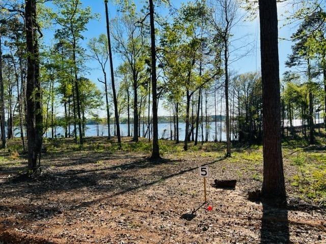 112 Crowell Lane, Milam, TX 75959 for Sale
