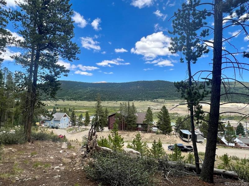 165 Spruce St, Alma, CO 80420 - MLS 6136955 for Sale
