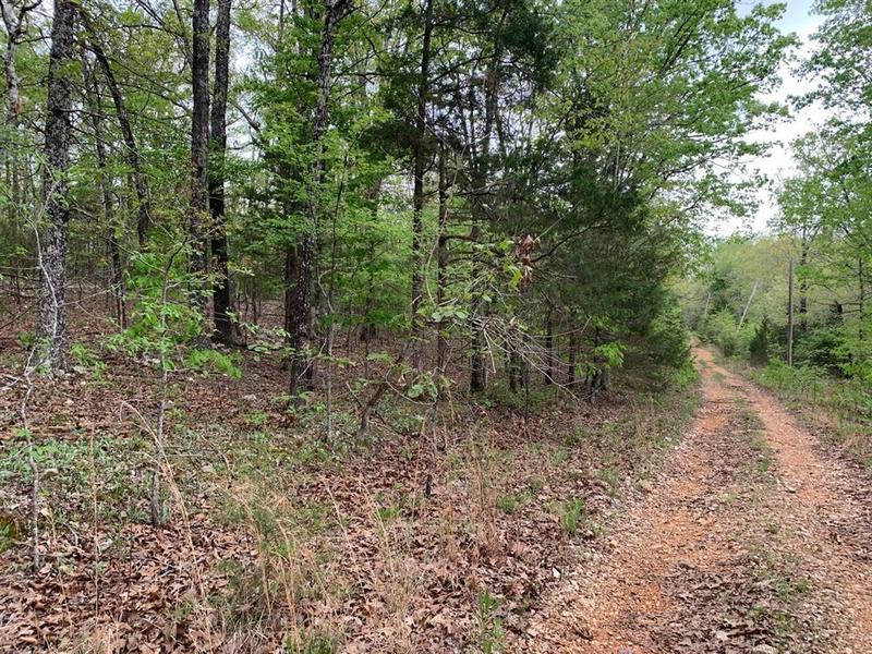 Lot 13 Old CCC Rd, Other, AR 72542 for Sale