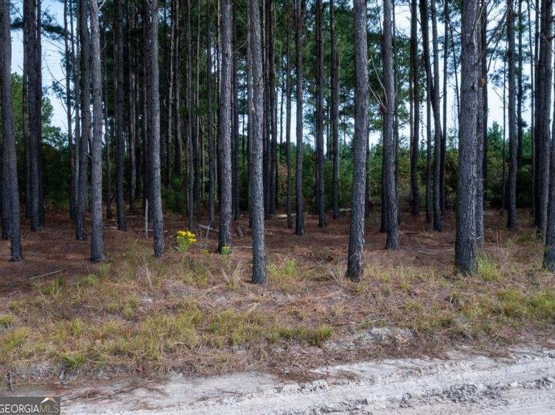 0 Lewis Davis Rd, Waycross, GA 31503 - MLS 20163344 for Sale