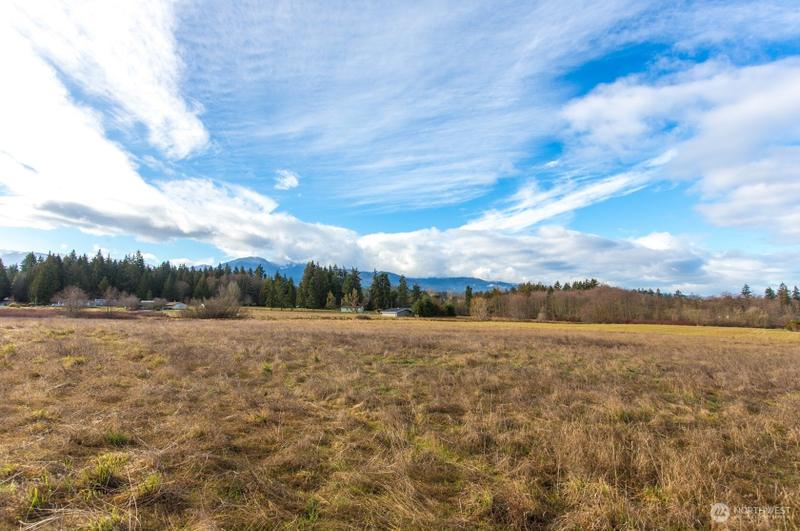 9992 Hulse Rd, Port Angeles, WA 98362 - MLS 2038555 for Sale
