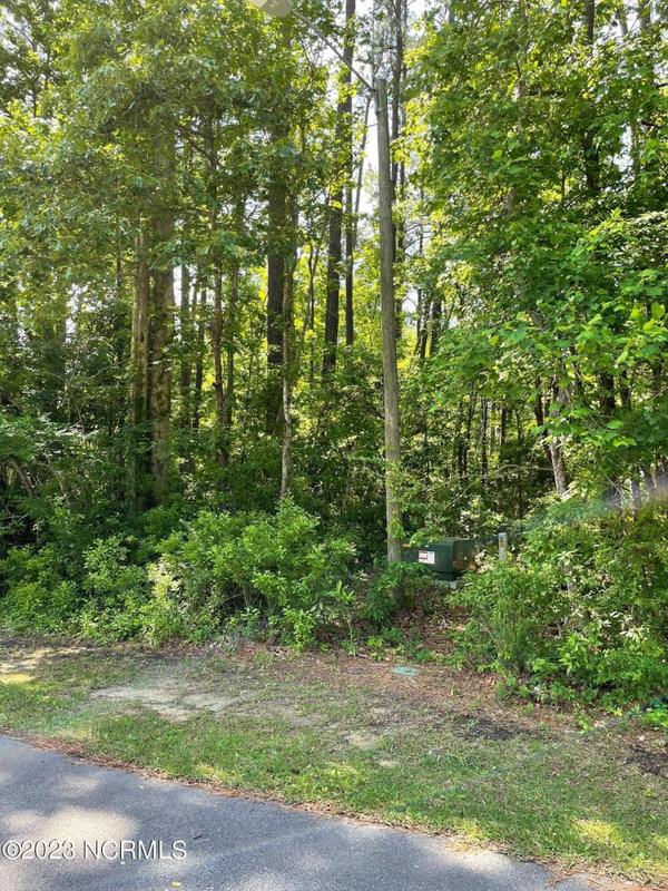 Havelock, Craven County, NC Undeveloped Land, Homesites for sale Property ID: 417034534