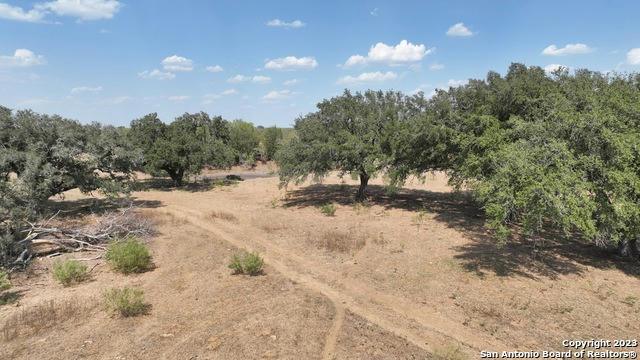 4162 COUNTY ROAD 117, Floresville, TX 78114 Farm For Sale  MLS# 1715993