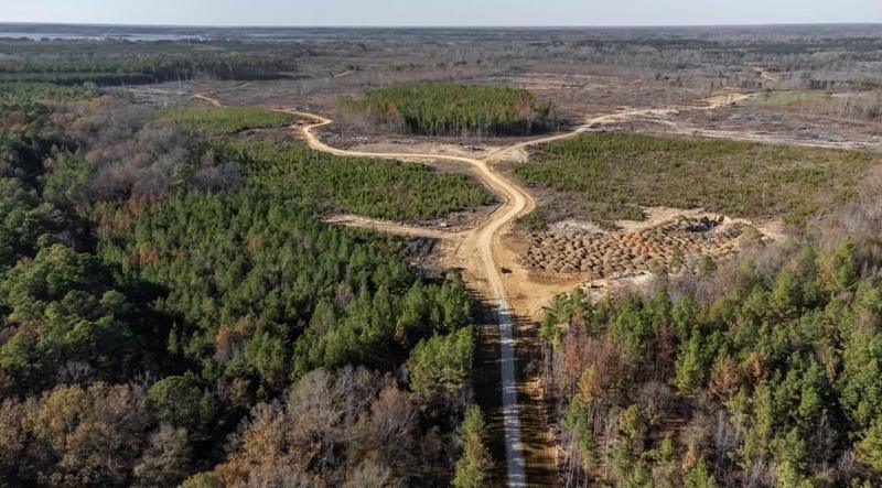 Pisgah, Rankin County, MS Undeveloped Land, Hunting Property for auction Property ID: 418593363 for Sale