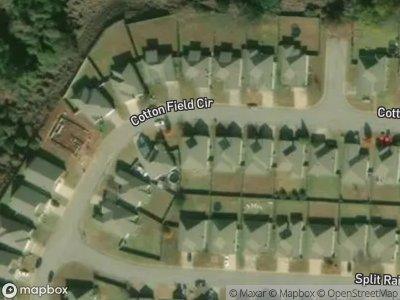 Cotton Field Cir for Sale