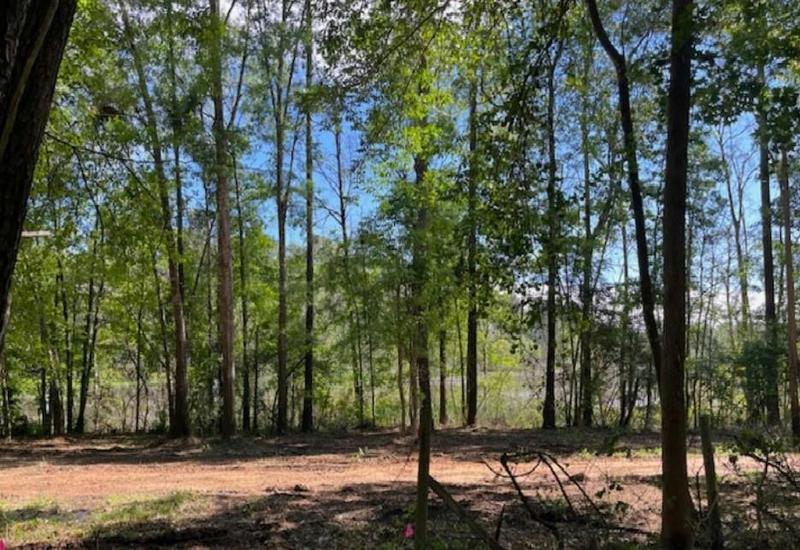 0 JUAN FALCON, Livingston, TX 77351 Land For Sale  MLS# 16261979