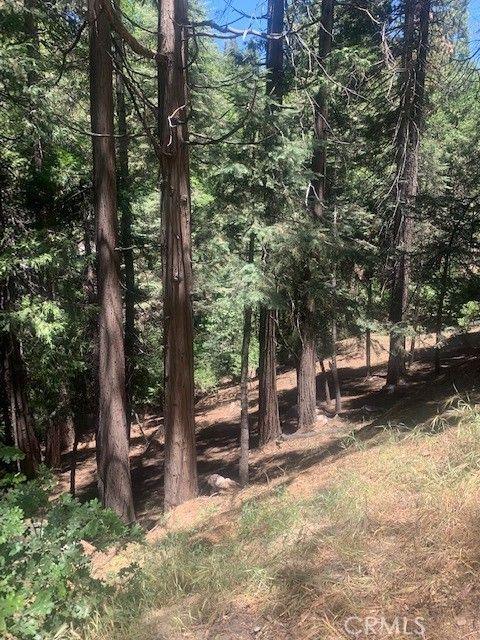 Lake Arrowhead, San Bernardino County, CA Undeveloped Land, Homesites for sale Property ID: 410596574