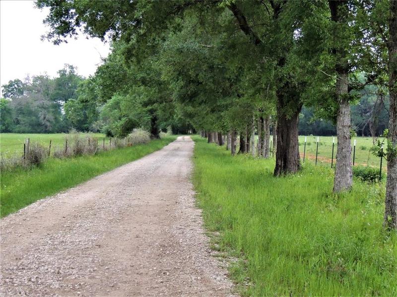 941 CR 4110, Crockett, TX 75835 for Sale