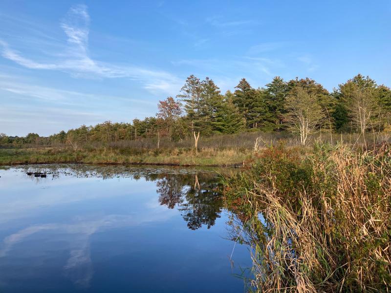 Gray, Cumberland County, ME Recreational Property, Undeveloped Land, Hunting Property for sale Property ID: 417233967